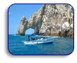 Cabo San Lucas Tours and Transportations,  Import Export Companies